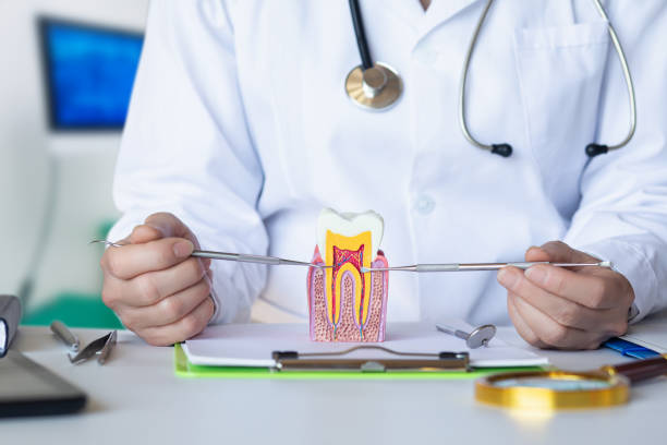 Best Emergency Broken Tooth Repair in Scottdale, GA